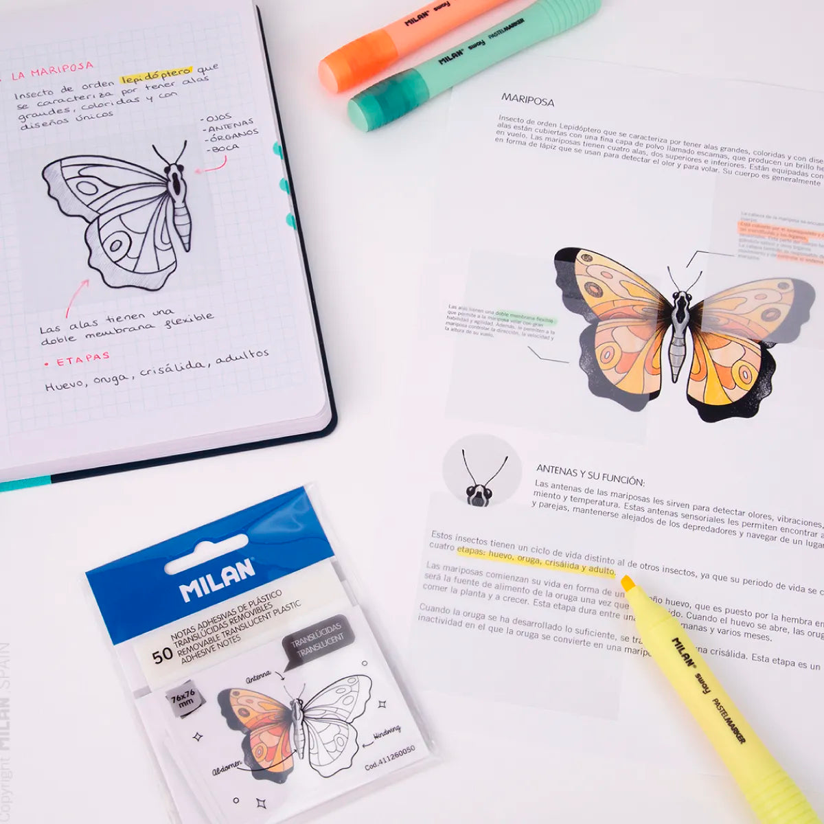 50 notes adhesives transparents