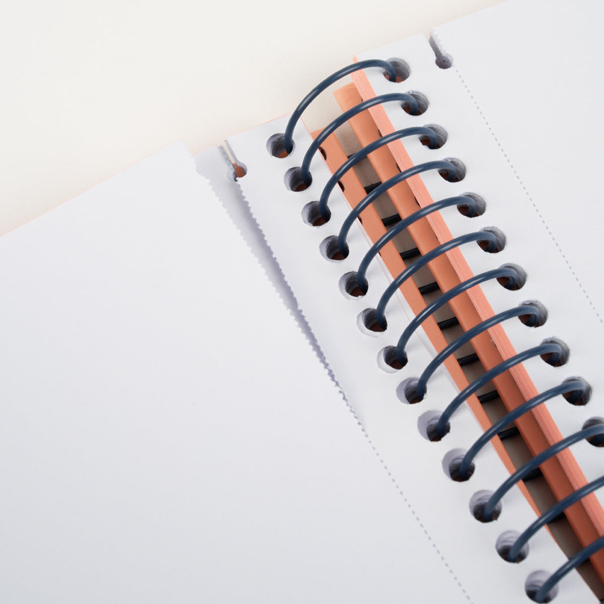 Cuadernos A4 con espiral y tapa dura, papel liso de 95 gr/m², 430 since 1918 (pack 4 unidades)