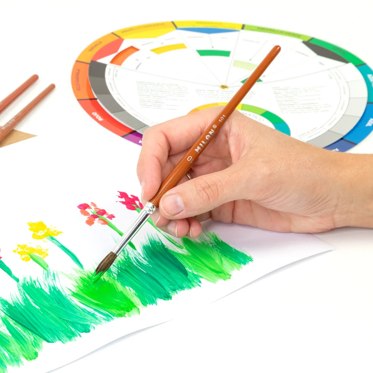 Círculo cromático pedagógico para las mezclas de colores