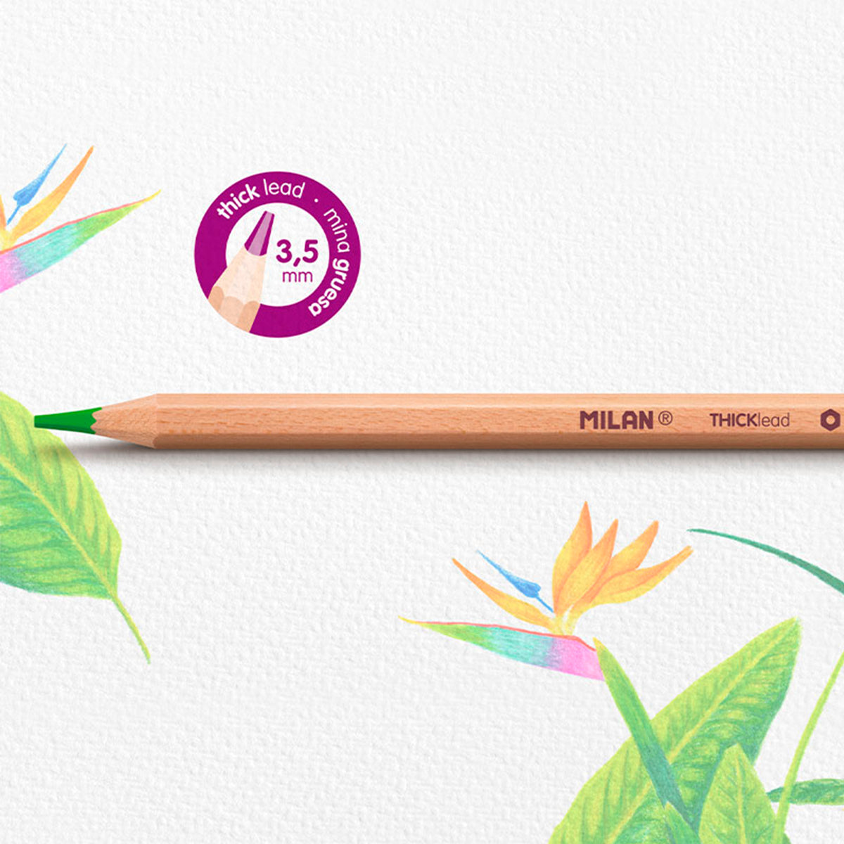 24 lápices de colores mina gruesa (3,5 mm) en caja metálica