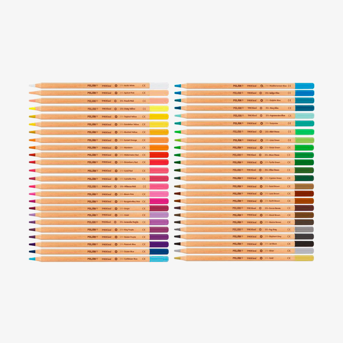 48 llapis de colors de mina gruixuda (3,5 mm) en capsa metàl·lica