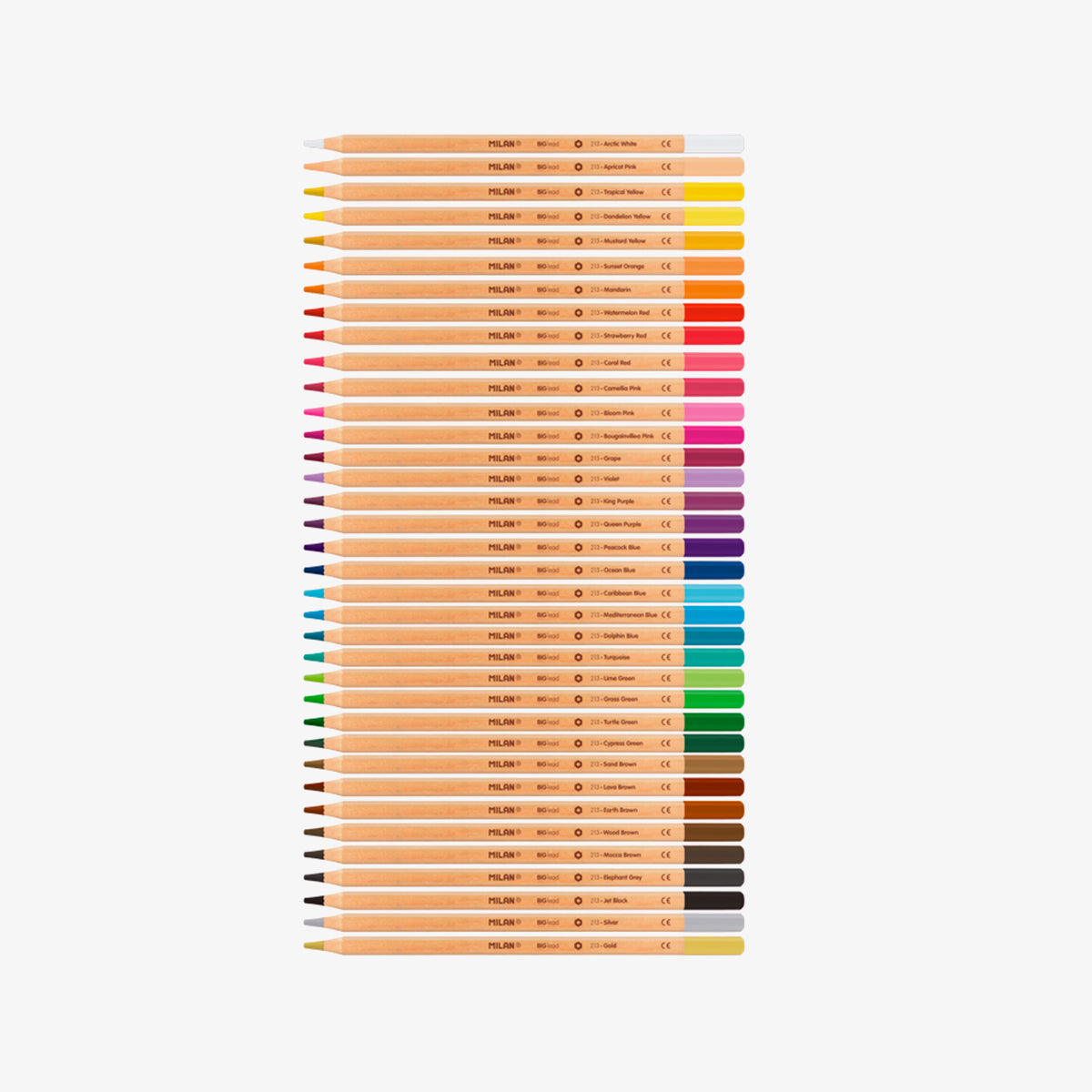 36 llapis de colors de mina gruixuda (3,5 mm) en capsa metàl·lica